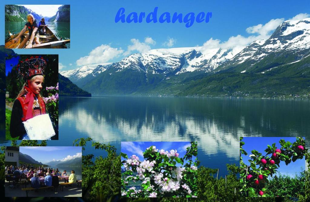 Trolltunga Camping Odda Luaran gambar